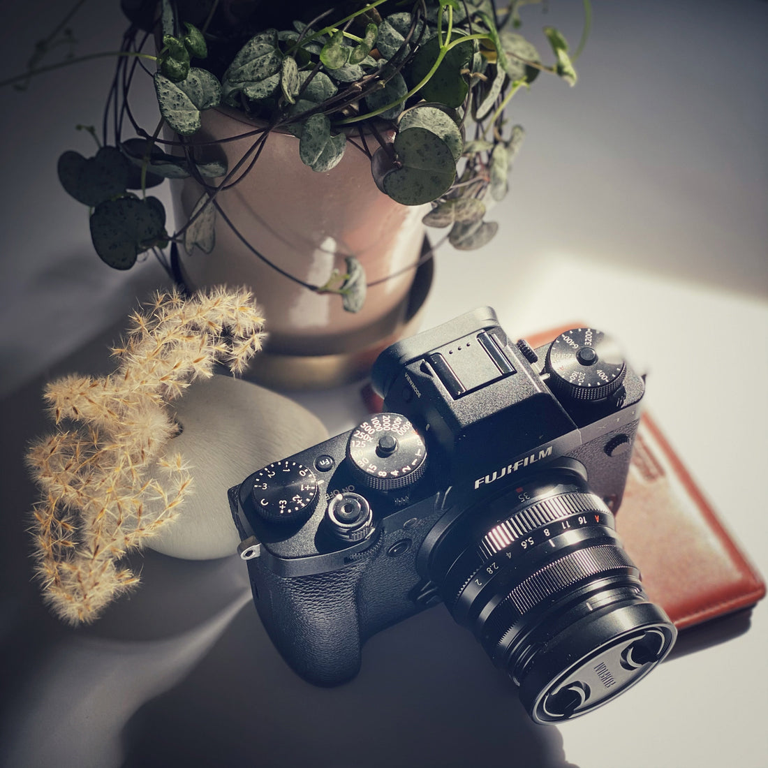 camera with plant, grass and a leather case in front of a white background with shadows