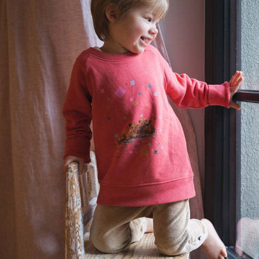 Toddler wearing a red sweatshirt with lion cubs and colourful squares. Sitting on a small wooden chair facing a window